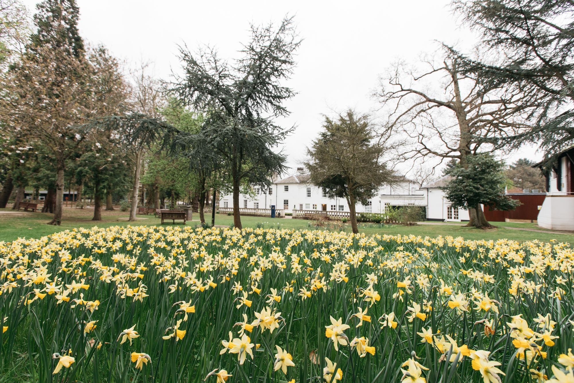 Gilwell Park Hotel Chingford Luaran gambar